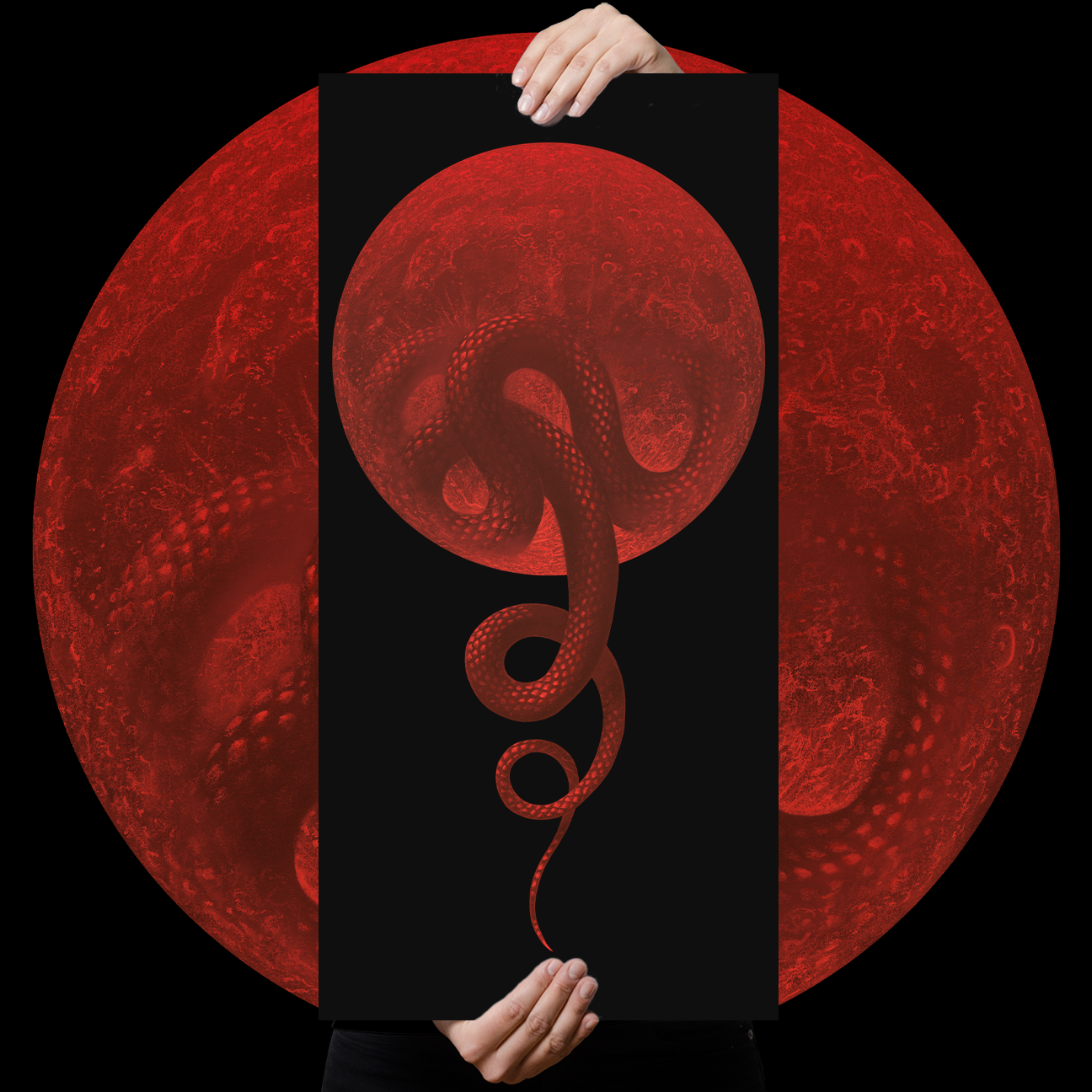 Marald Van Haasteren "Coil" Giclee Print