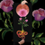 Marald Van Haasteren "Flower Moon" Giclee Print
