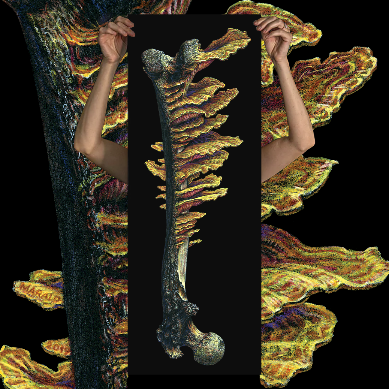 Marald Van Haasteren "16: Dreamsquasher (Marrow 2)" Giclee Print