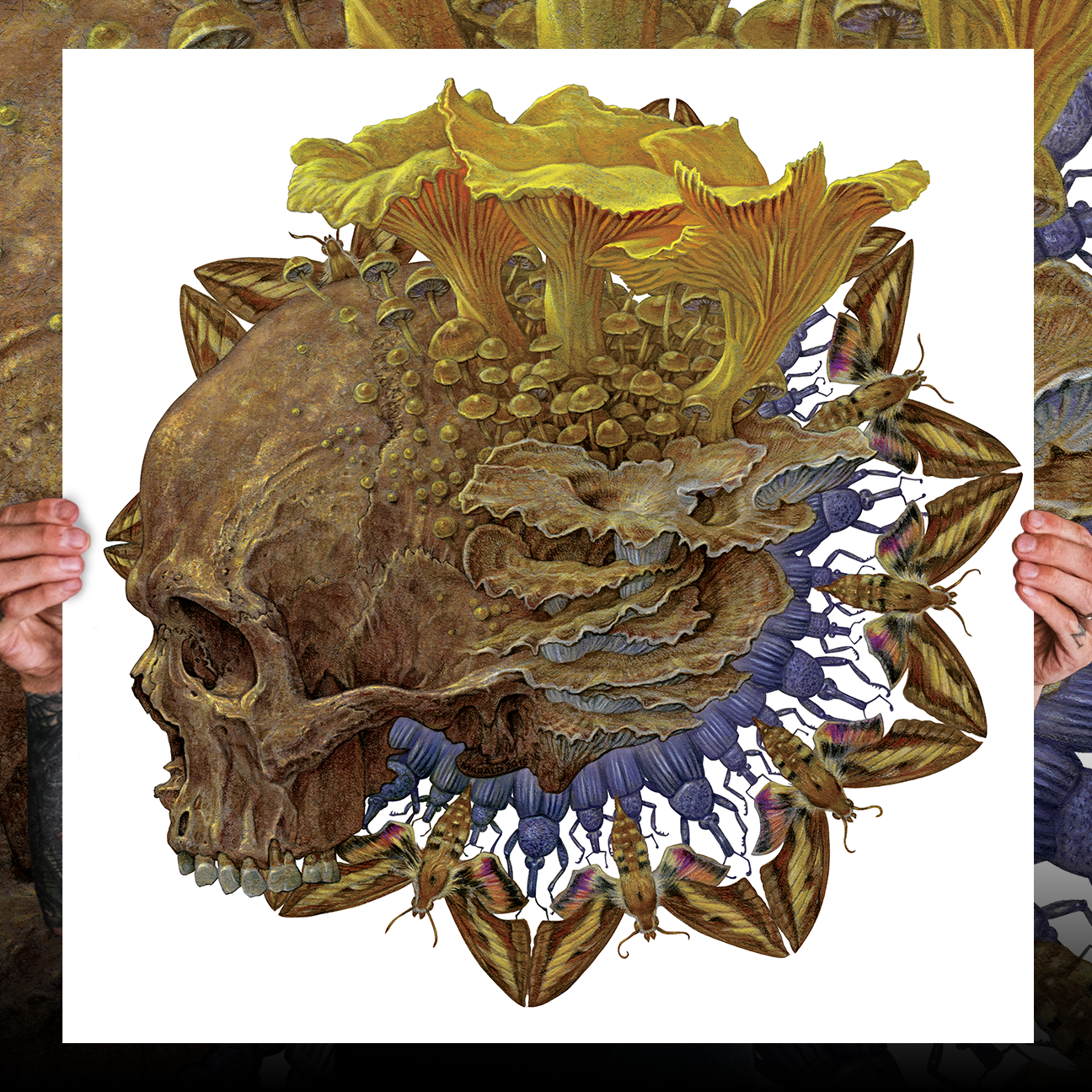 Marald Van Haasteren "Baroness: Shock Me" Giclee Print