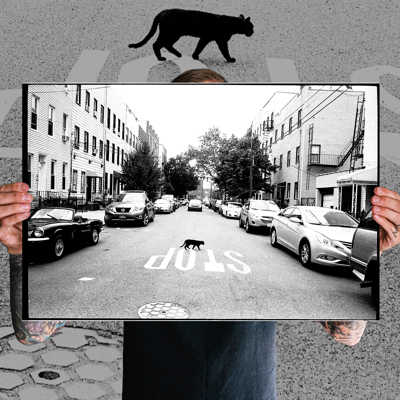 Reid Haithcock "Bad Luck Philly" Giclee Print
