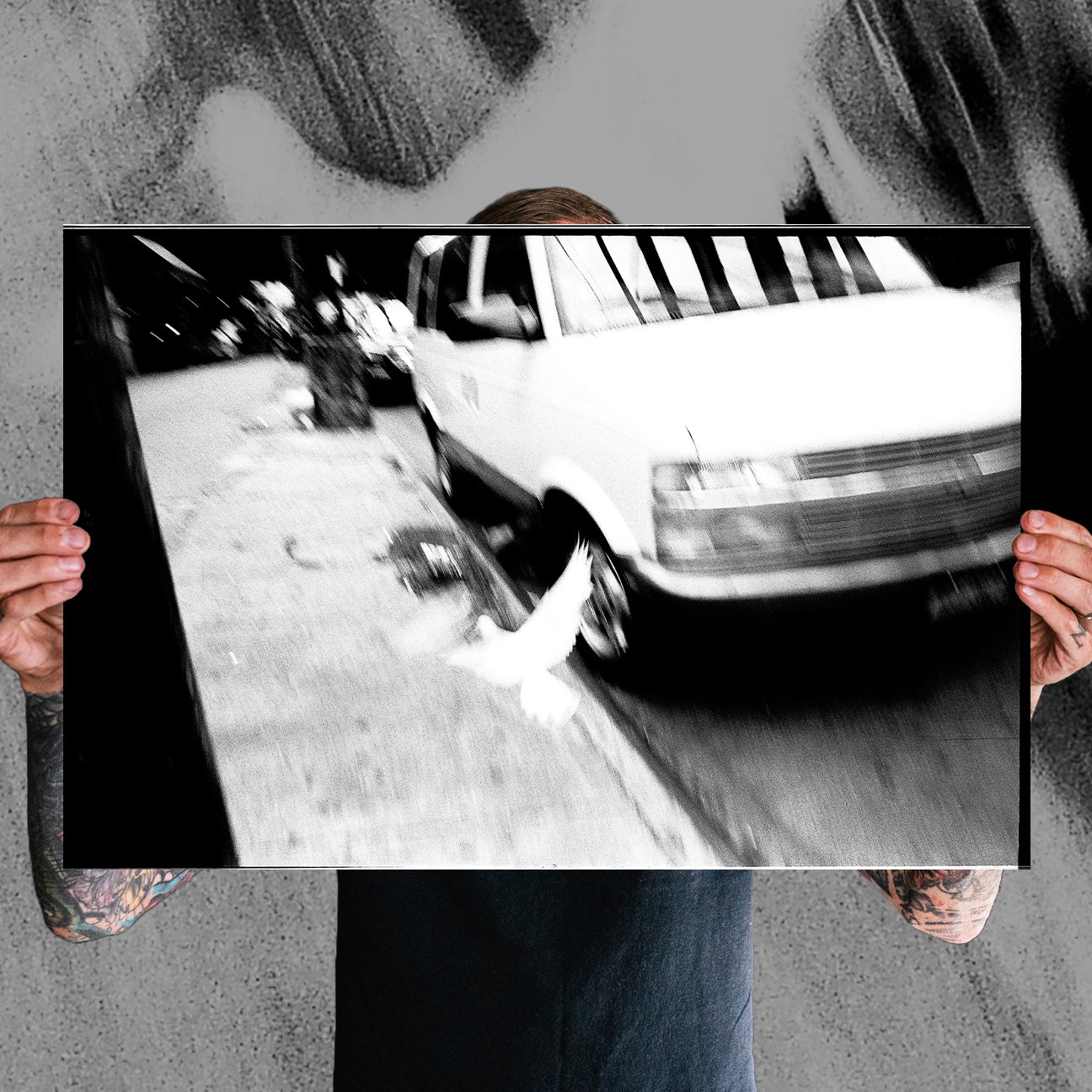 Reid Haithcock "Brooklyn Dove" Giclee Print