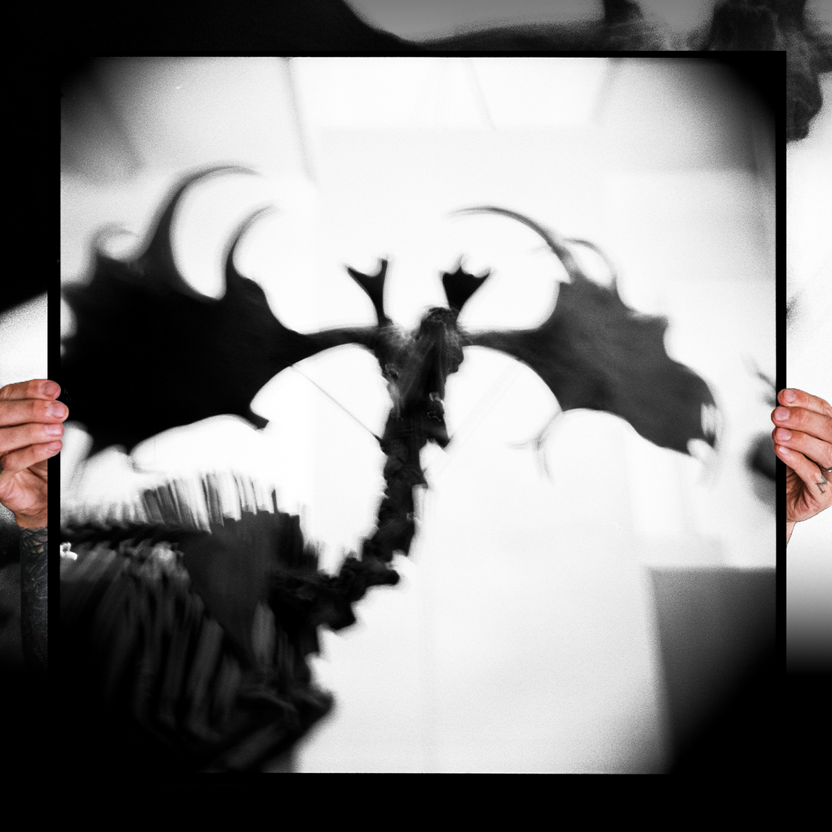 Reid Haithcock "Bones: 1" Giclee Print