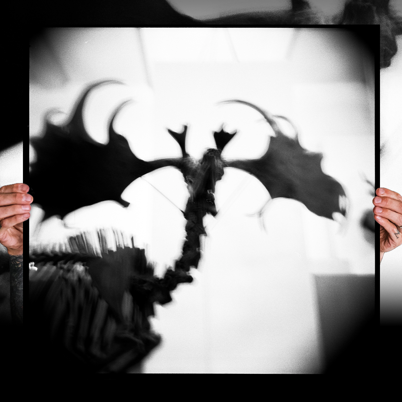 Reid Haithcock "Bones: 1" Giclee Print