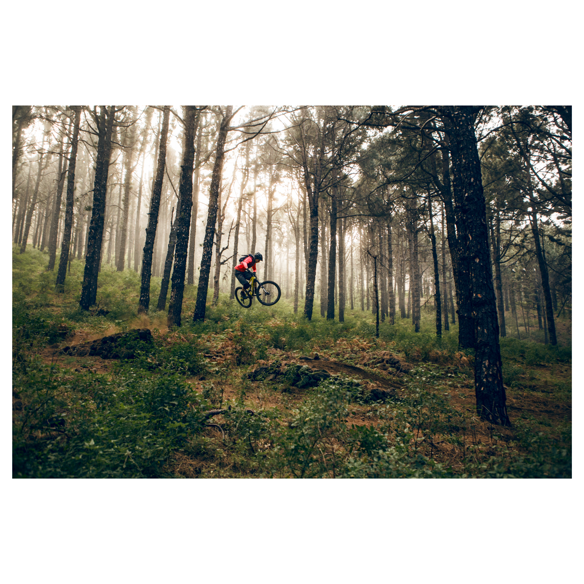 David Robinson "Axel Weinman - La Palma" Giclee Print