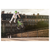 David Robinson "Fabio Wibmer - Paris" Giclee Print